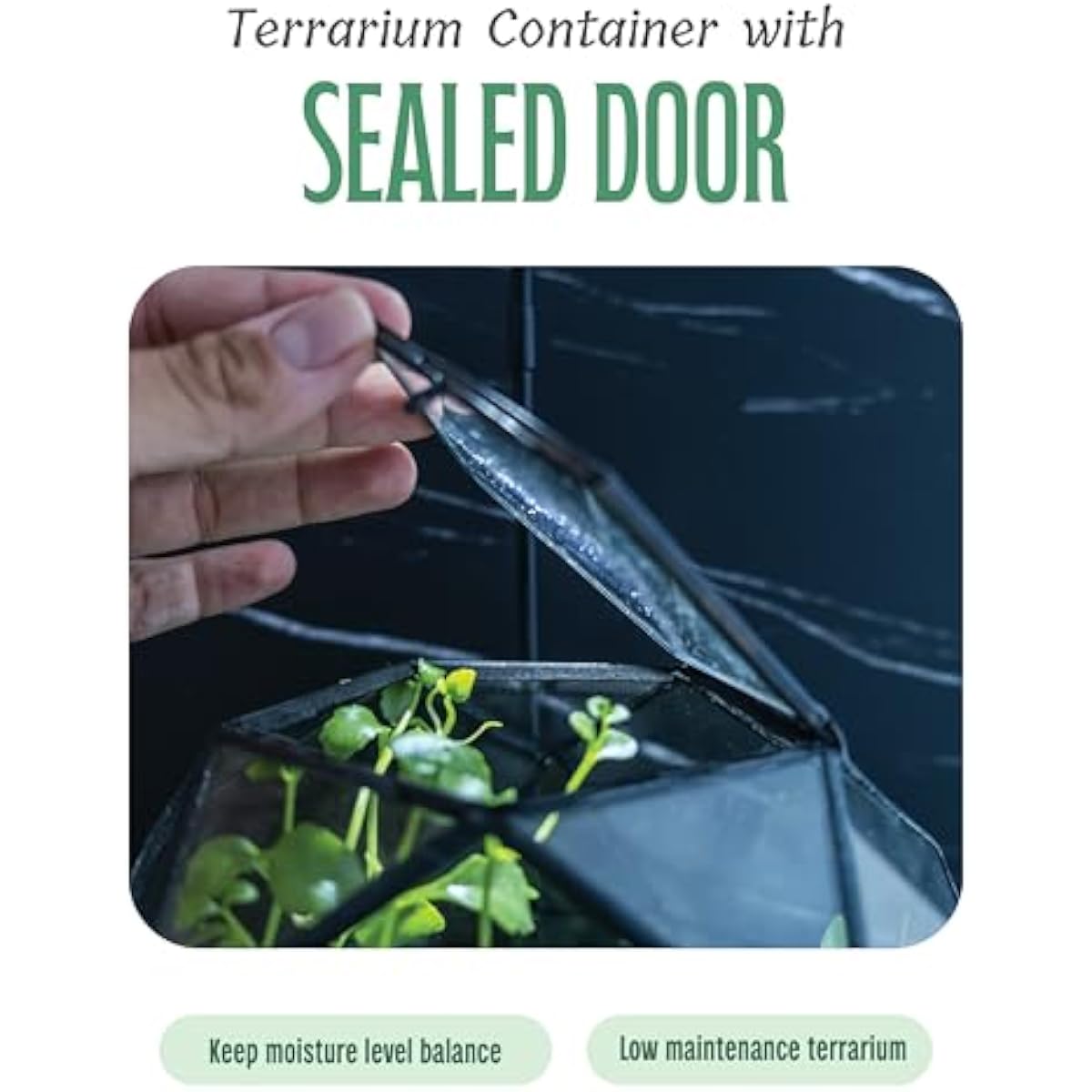 Geometrische bolterrarium met  - Glass Door Hinge recensie en prijs