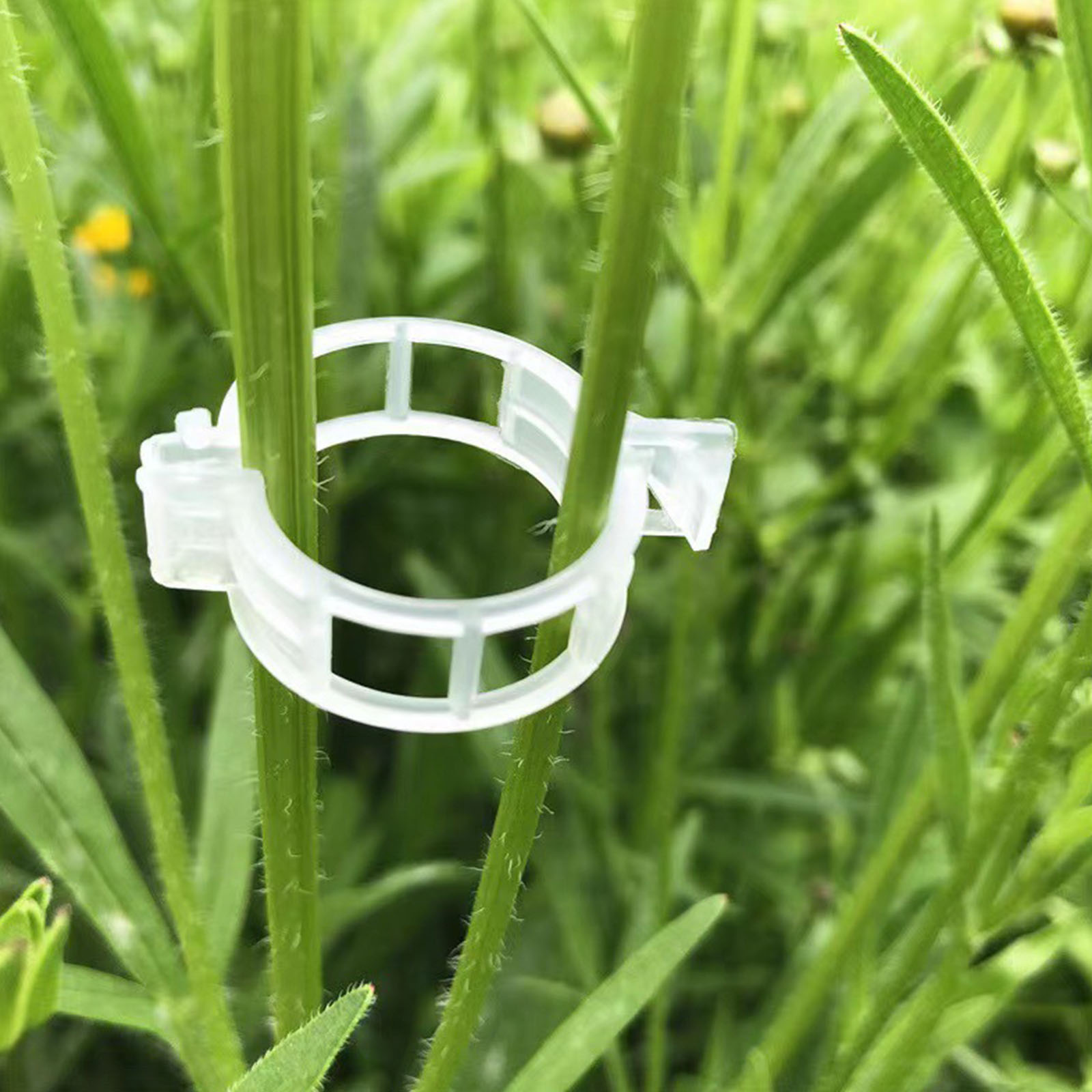 Gevormde plastic plantenklem v - Vine Climbing Plastic recensie en prijs